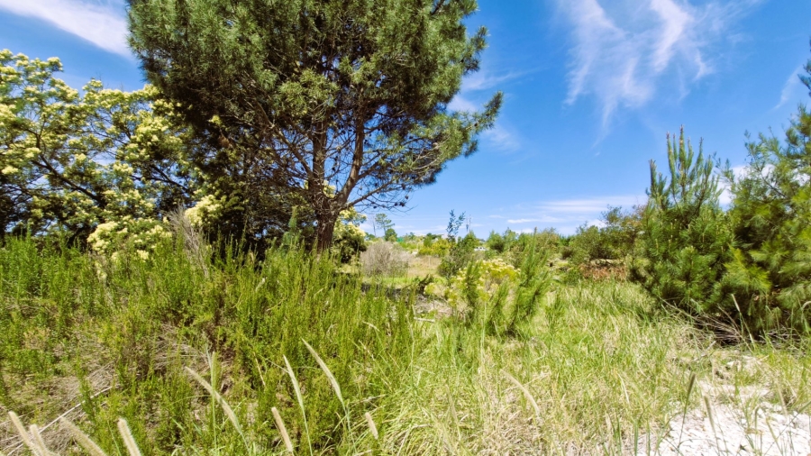 Commercial Property for Sale in Napier Western Cape